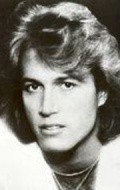 Andy Gibb - wallpapers.