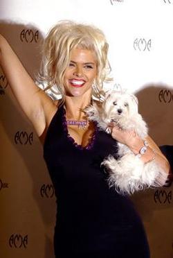 Anna Nicole Smith picture