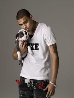 Chris Brown picture