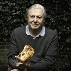 David Attenborough picture
