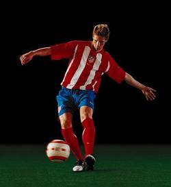 Fernando Torres picture