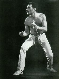 Freddie Mercury picture