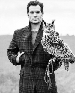 Henry Cavill picture