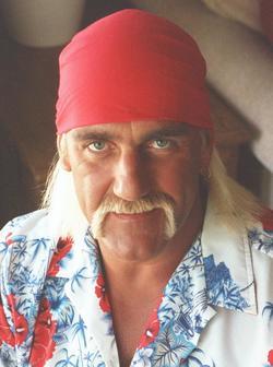 Hulk Hogan picture
