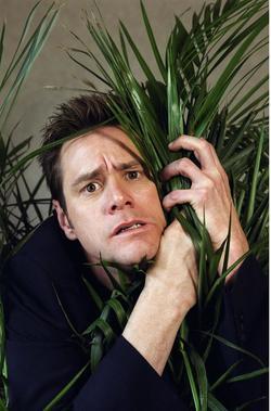 Jim Carrey picture