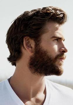 Liam Hemsworth picture