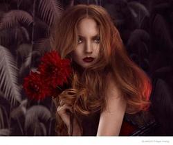 Lily Cole picture