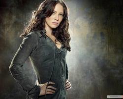Lynn Collins picture