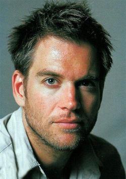 Michael Weatherly picture