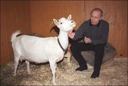 Vladimir Putin picture