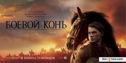 The War Horse picture