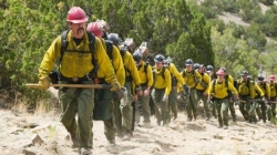 Only the Brave picture