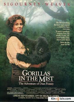 Gorillas in the Mist: The Story of Dian Fossey picture