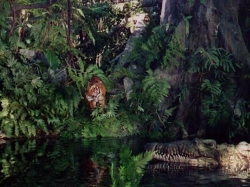 Jungle Book picture