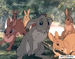 Watership Down picture