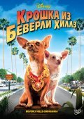 Beverly Hills Chihuahua pictures.