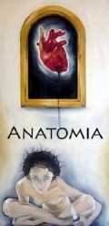 Anatomia pictures.
