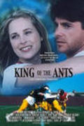 King of the Ants - wallpapers.