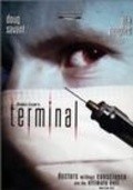 Terminal pictures.