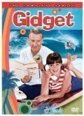 Gidget  (serial 1965-1966) pictures.