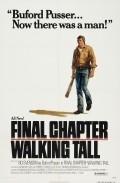 Final Chapter: Walking Tall - wallpapers.