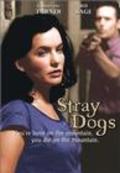 Stray Dogs - wallpapers.