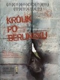 Krolik po berlinsku - wallpapers.