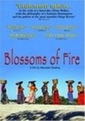 Blossoms of Fire pictures.