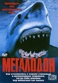 Megalodon pictures.