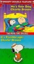It's Flashbeagle, Charlie Brown pictures.