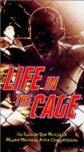 Life in the Cage - wallpapers.