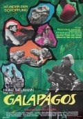 Galapagos - Trauminsel im Pazifik - wallpapers.