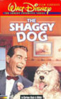 The Shaggy Dog pictures.