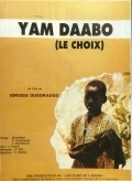 Yam Daabo pictures.