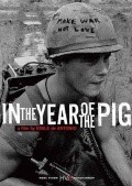 In the Year of the Pig - wallpapers.