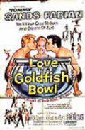 Love in a Goldfish Bowl pictures.