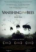 Vanishing of the Bees pictures.