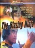 The Blazing Ninja pictures.