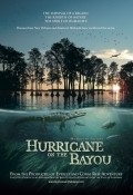 Hurricane on the Bayou - wallpapers.