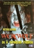 Werewolf in a Women's Prison - wallpapers.