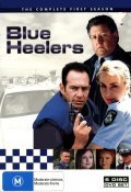 Blue Heelers  (serial 1994-2006) - wallpapers.
