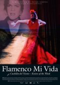 Flamenco mi vida - Knives of the wind - wallpapers.