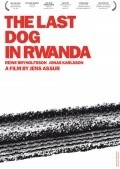 Den sista hunden i Rwanda - wallpapers.