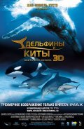 Dolphins and Whales 3D: Tribes of the Ocean pictures.