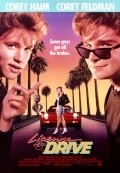 License to Drive - wallpapers.