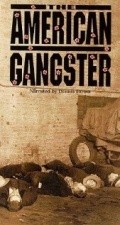 The American Gangster pictures.
