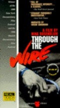 Through the Wire - wallpapers.