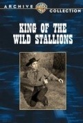 King of the Wild Stallions - wallpapers.