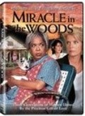 Miracle in the Woods - wallpapers.