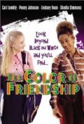 The Color of Friendship - wallpapers.